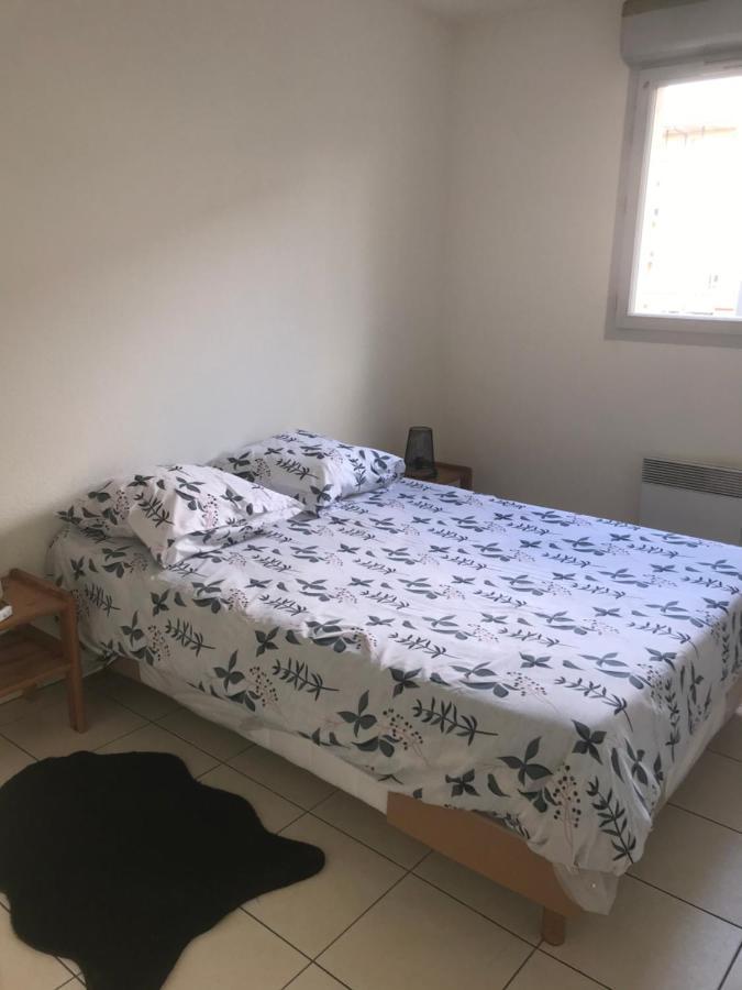 Appartement Entier T2 Avec Piscine Paradis Entierement Meuble Proche Metro Τουλούζη Εξωτερικό φωτογραφία