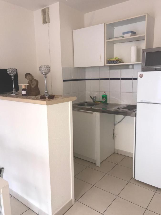 Appartement Entier T2 Avec Piscine Paradis Entierement Meuble Proche Metro Τουλούζη Εξωτερικό φωτογραφία