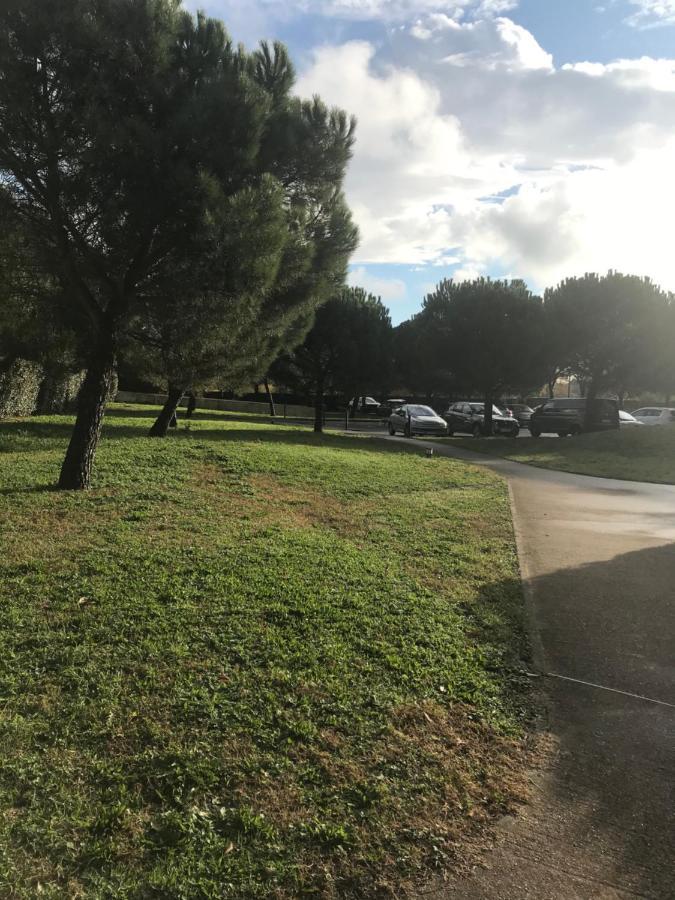 Appartement Entier T2 Avec Piscine Paradis Entierement Meuble Proche Metro Τουλούζη Εξωτερικό φωτογραφία